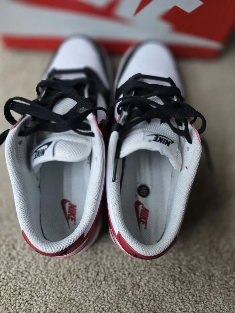 Nike Dunk Low (GS) 